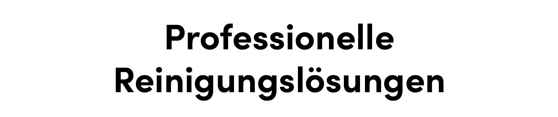 professionelle-reinigungsloesungen