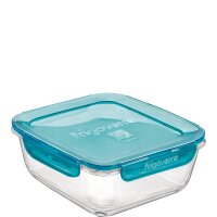 Frigoverre Evolution Box quadr. 140cl mit Deckel  (VPE 4...
