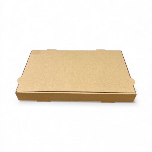 Pinsakarton 36 x 23 x 4 cm neutral braun Doppelkraft