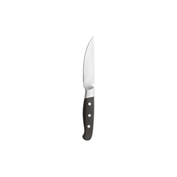 Steak Messer Aconcagua Black
