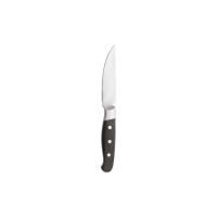 Steak Messer Aconcagua Black