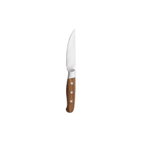 Steak Messer Aconcagua