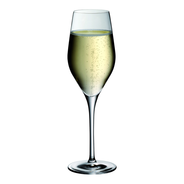 WMF Champagner DIVINE (6 St.)