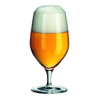 WMF Wasser-/Bierglas ROYAL 0,3 L (6 St.)