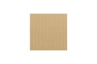PizzaPROTECT Deluxe 39 x 39 cm