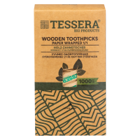 Zahnstocher 6,5 cm einzeln verpackt