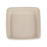 Bowl quadratisch Zuckerrohr 1200 ml