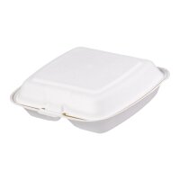 Bagasse box 2-geteilt 23 x 20 cm | VPE 200 (2 x 100)