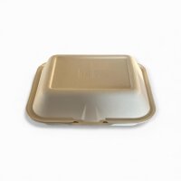 Bagasse box 2-geteilt 23 x 20 cm