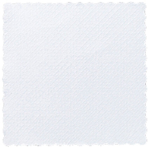 Papierservietten, 1-lagig, 1/4-Falz 17 x 17 cm, weiß (VPE 16000 St.)