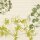 Zelltuchservietten 33 x 33 cm, 3-lagig, 1/4-Falz, Motive Green Umbles (VPE 1000 St.)