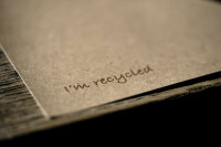 Zelltuchservietten recycled 40 x 40 cm, 2-lagig, 1/8-Kopffalz, Motive Im recycled (VPE 1200 St.)