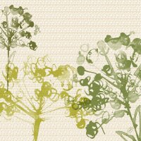 Klassikservietten 40 x 40 cm, 4-lagig geprägt, 1/4-Falz, Motive Green Umbles (VPE 300 St.)