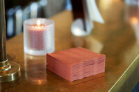 Bio-Dunisoft-Servietten 20 x 20 cm, 1/4-Falz, Uni weiß (VPE 2880 St.)