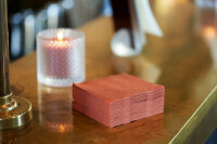 Bio-Dunisoft-Servietten 20 x 20 cm, 1/4-Falz, Uni greige (VPE 2880 St.)