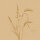 Bio-Dunisoft-Servietten 20 x 20 cm, 1/4-Falz, Motive Meadow Natural - unbleached (VPE 2880 St.)