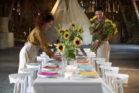 Bio-Dunisoft-Servietten 40 x 40 cm, 1/4-Falz, Uni weiß (VPE 360 St.)