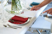 Bio-Dunisoft-Servietten 40 x 40 cm, 1/4-Falz, Uni bordeaux (VPE 360 St.)