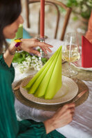 Bio-Dunisoft-Servietten 40 x 40 cm, 1/4-Falz, Uni kiwi (VPE 360 St.)