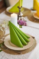 Bio-Dunisoft-Servietten 40 x 40 cm, 1/4-Falz, Uni leaf green (VPE 360 St.)