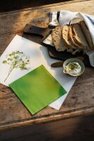 Bio-Dunisoft-Servietten 40 x 40 cm, 1/4-Falz, Uni jägergrün (VPE 360 St.)