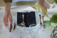 Bio-Dunisoft-Servietten 40 x 40 cm, 1/4-Falz, Uni schwarz (VPE 360 St.)