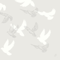 Bio-Dunisoft-Servietten 40 x 40 cm, 1/4-Falz, Motive Soft Wings (VPE 360 St.)