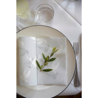 Bio-Dunisoft-Servietten 40 x 40 cm, 1/4-Falz, Motive Soft Wings (VPE 360 St.)