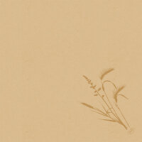 Bio-Dunisoft-Servietten 40 x 40 cm, 1/4-Falz, Motive Meadow Natural - unbleached (VPE 360 St.)