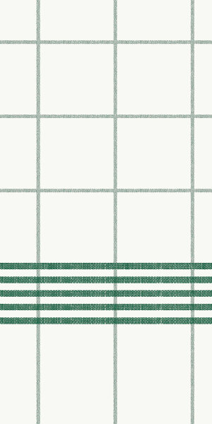Dunisoft-Servietten 48 x 48 cm, 1/8-Buchfalz, Motive Towel green (VPE 360 St.)