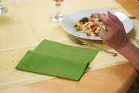 Dunilin-Servietten 40 x 40 cm, 1/4-Falz, Uni leaf green (VPE 540 St.)