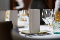 Elegance-Servietten 40 x 40 cm, 1/4-Falz, Uni Lily greige (VPE 240 St.)