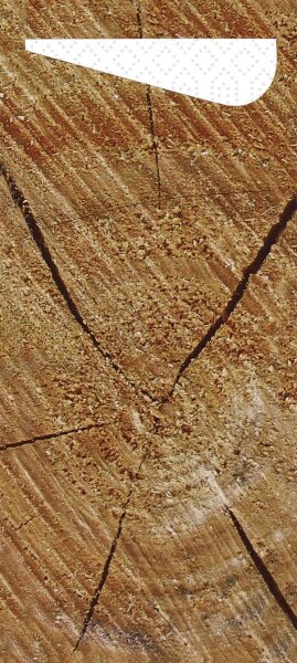 Sacchetto Zelltuch 190 x 85 mm, Motive Wood (VPE 500 St.)
