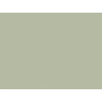 Tischsets Papier 30 x 40 cm, 60 gr, Uni pistachio green (VPE 1000 St.)