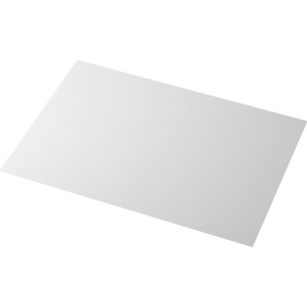 Tischsets Evolin 30 x 43,5 cm, Uni weiß (VPE 350 St.)
