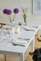 Tischsets Evolin 30 x 43,5 cm, Uni weiß (VPE 350 St.)