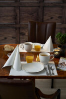 Tischsets Evolin 30 x 43,5 cm, Uni weiß (VPE 350 St.)