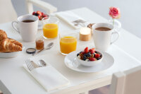 Tischsets Evolin 30 x 43,5 cm, Uni granite grey (VPE 350 St.)