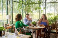 Tête à Tête Tischläufer Dunicel 24 m x 40 cm (20 Abschnitte), Motive Mediterrian (VPE 4 St.)