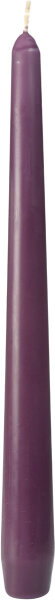 Leuchterkerzen 250 x Ø 22 mm, ca. 7h plum (VPE 100 St.)