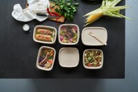 Bagasse Bowl CUBE SQUARE 900 ml 181x181x54 mm (Farbe: Braun / Material: Uncoated Bagasse) (VPE 160 St.)