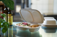 Bagasse Box Shield 2-geteilt 600/300 ml 426x304x56 mm (Farbe: Braun / Material: Bagasse) (VPE 200 St.)