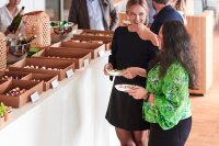 Catering-Deckel Cardboard / PLA braun, Medium 364x255 mm (Farbe: Braun / Material: Papier) (VPE 100 St.)