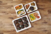 Fibretray Caterline 3-geteilt 3-comp 227x178x45 mm...