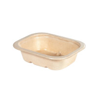Tray Side Dish Fibre 1-Comp 37 mm? 140x116x37? mm (Farbe:...