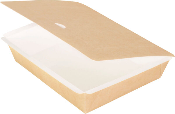 Pappbox, rechteckig, L 195x165x45 mm (Farbe: Braun / Material: Karton/PE) (VPE 250 St.)