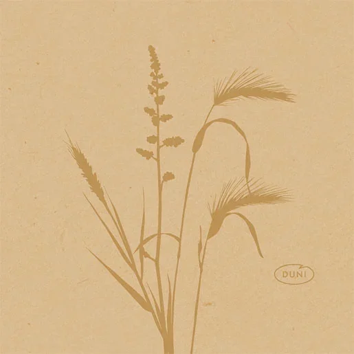 Bio-Dunisoft-Servietten 20 x 20 cm, 1/4-Falz, Motive (VPE 2880 St.)