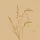 Bio-Dunisoft-Servietten 20 x 20 cm, 1/4-Falz, Motive (VPE 2880 St.)