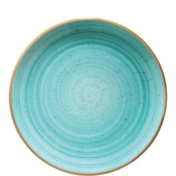 Aura Aqua Gourmet Teller flach 25cm  (VPE 12 St.)