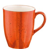 Aura Terracotta Conic Bockbecher 33cl  (VPE 24 St.)